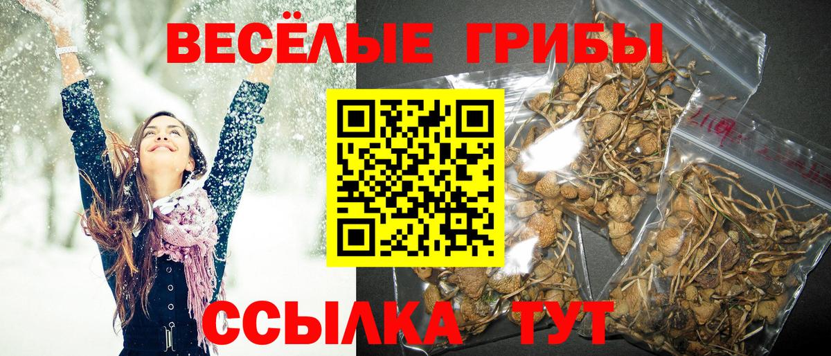 Реутов  Галлюциногенные грибы мухоморы  Вход с VPN 